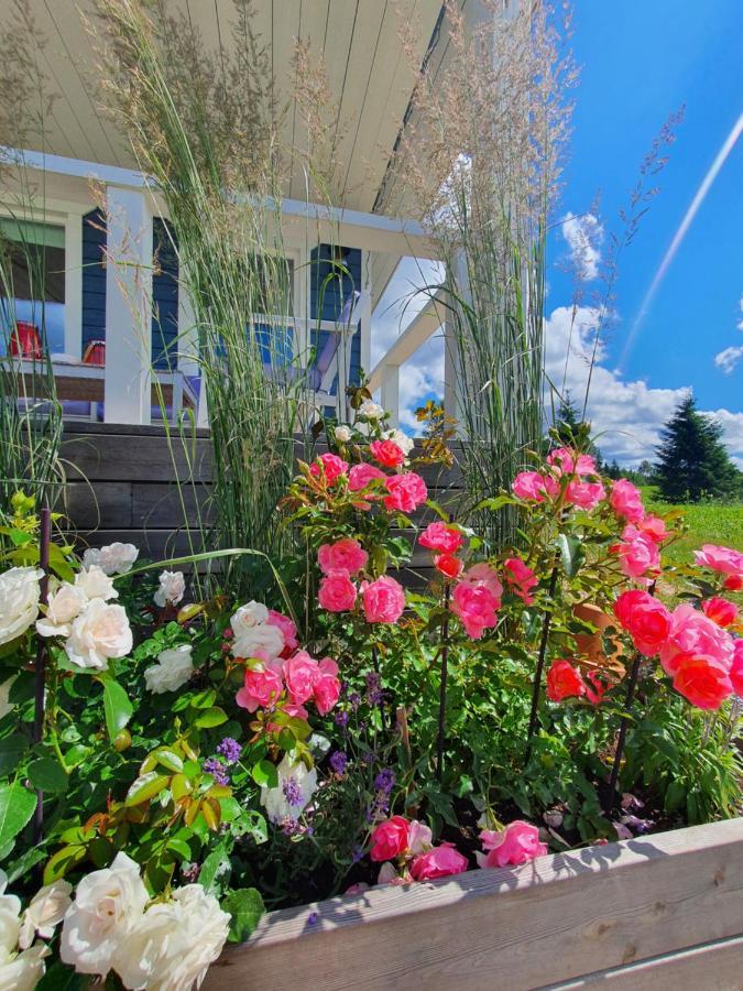 Kalda Holiday Home Otepää Εξωτερικό φωτογραφία